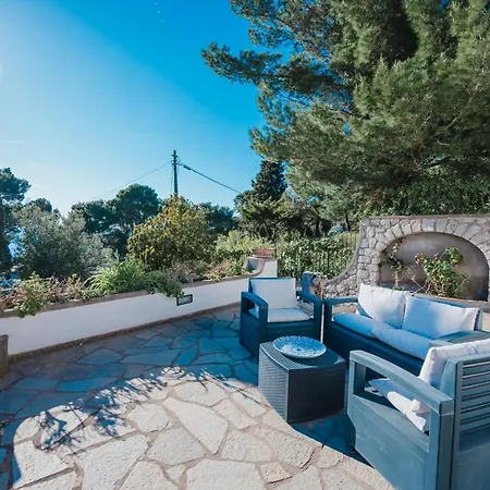 Margherita By My Collection *