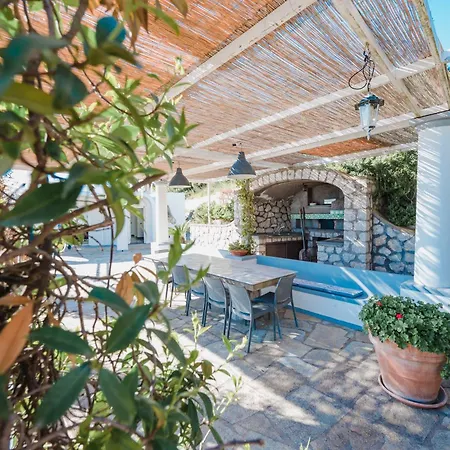 Margherita By My Collection